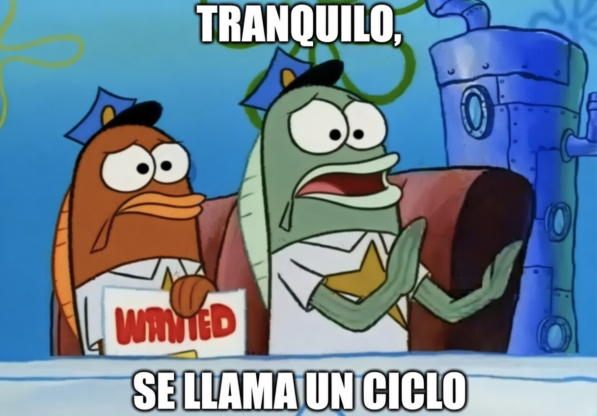 mercado-alcista-meme