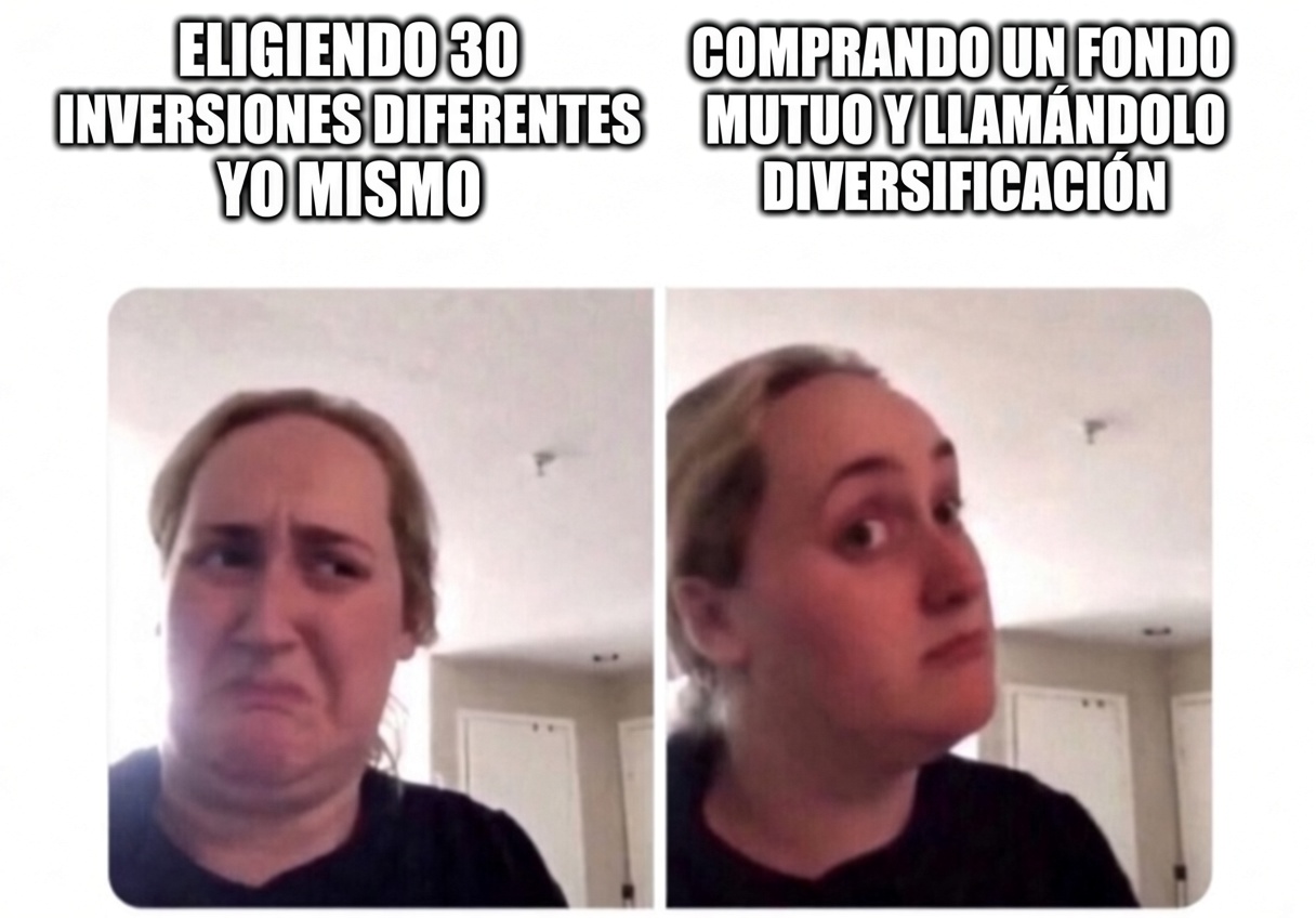 what-are-mutual-funds-meme-sp